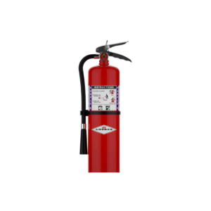 Amerex B460 Purple K | 10 lb BC Brass Valve | Dry Chemical Fire Extinguisher with Wall Bracket | 80B:C